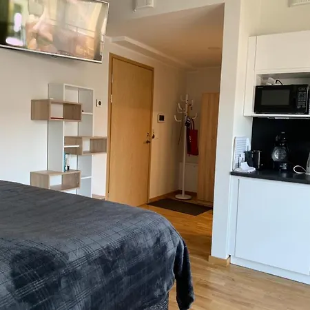 Oja 118 Apartment Пярну Екстериор снимка