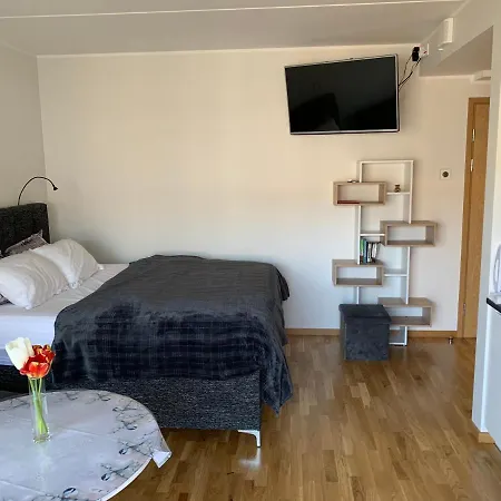 Oja 118 Apartment Пярну Екстериор снимка
